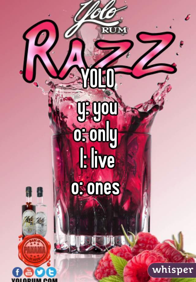   YOLO  
y: you
o: only 
l: live
o: ones 