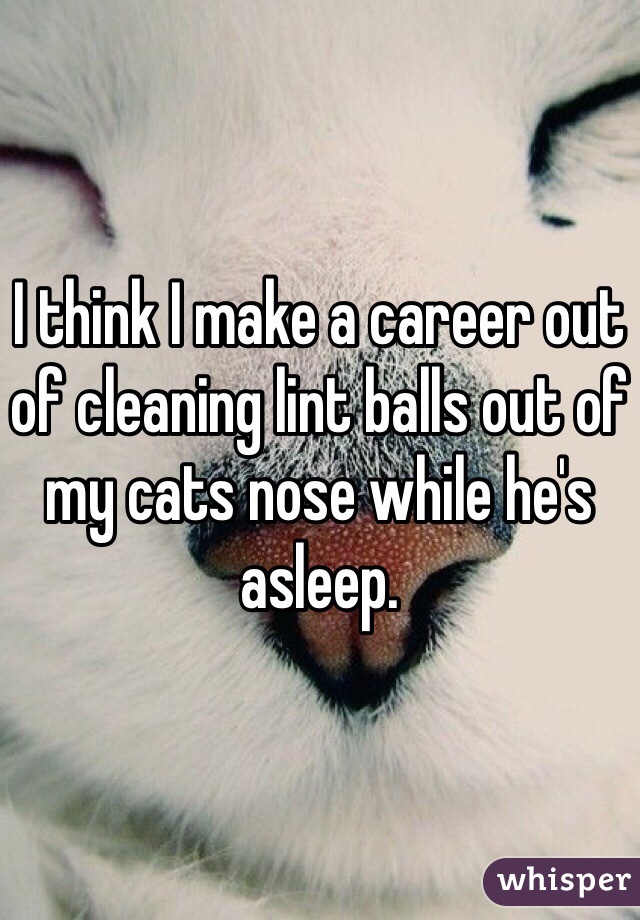 I think I make a career out of cleaning lint balls out of my cats nose while he's asleep. 