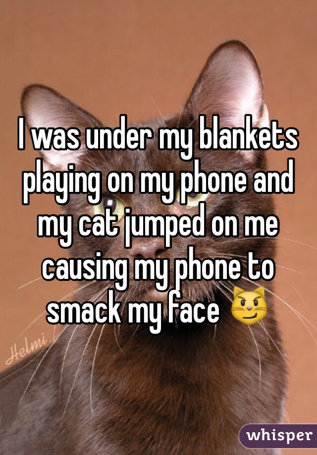 I was under my blankets playing on my phone and my cat jumped on me causing my phone to smack my face 😼