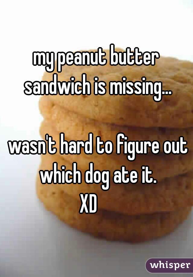 my peanut butter sandwich is missing...
                                                    wasn't hard to figure out which dog ate it.
XD    