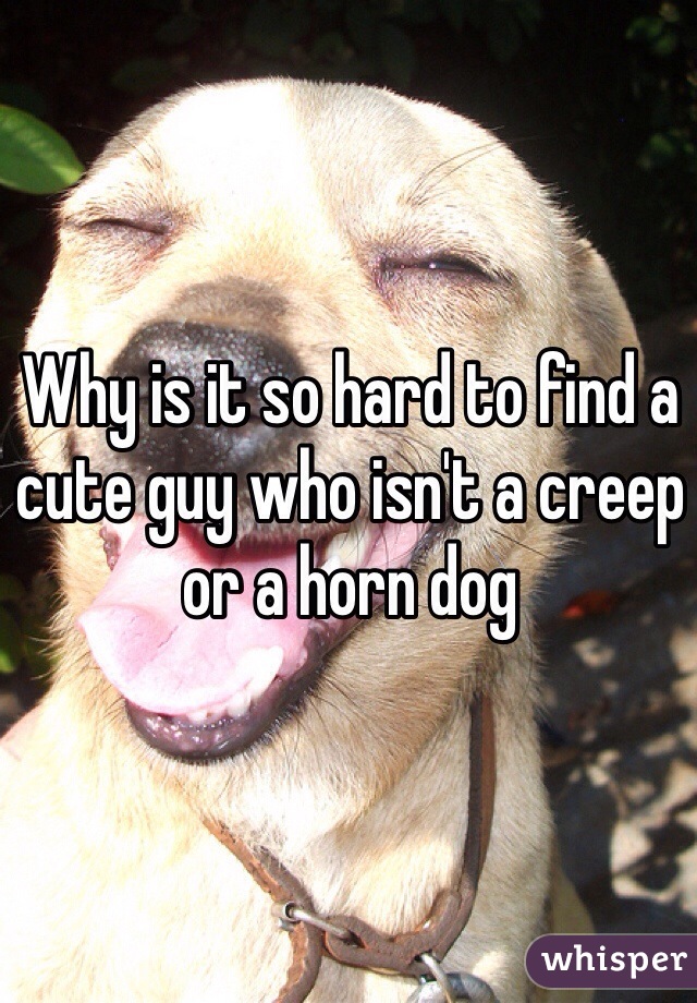 Why is it so hard to find a cute guy who isn't a creep or a horn dog 