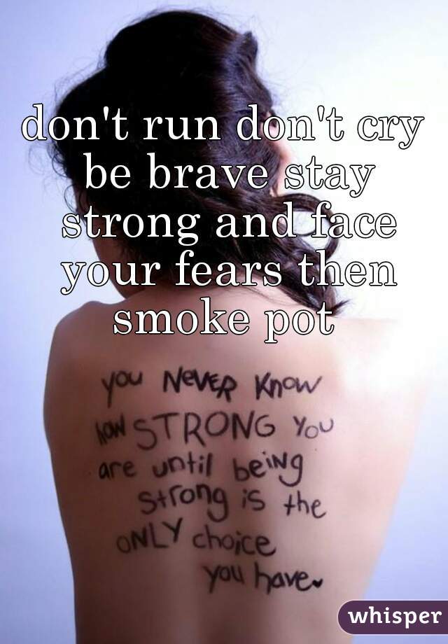 don't run don't cry be brave stay strong and face your fears then smoke pot 