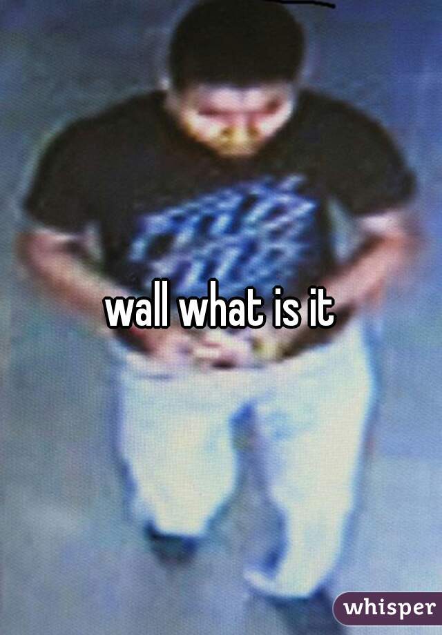 wall what is it