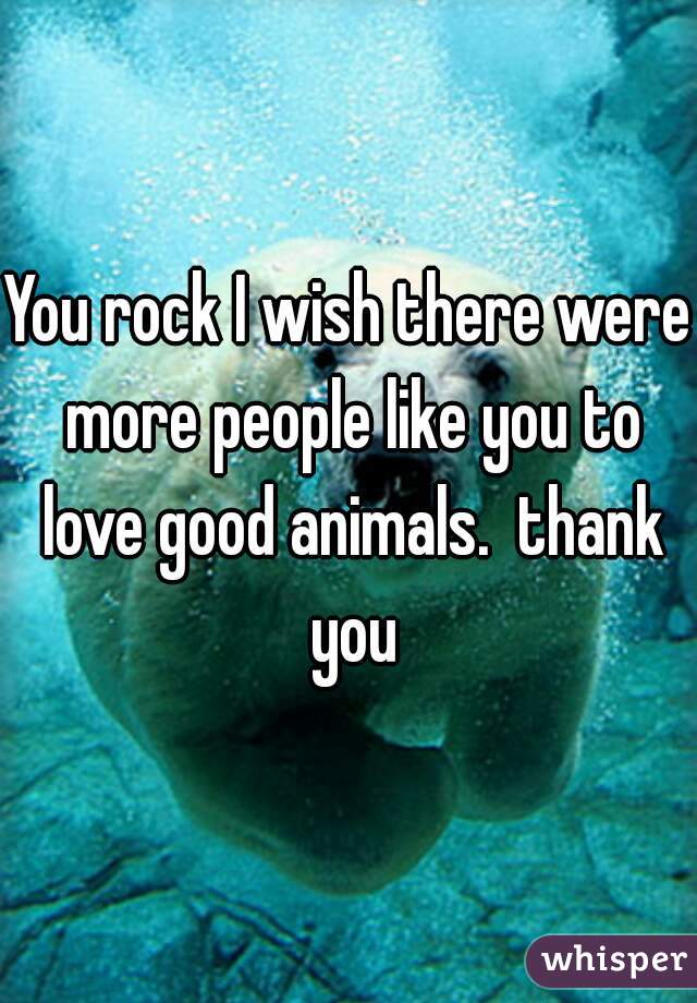 You rock I wish there were more people like you to love good animals.  thank you