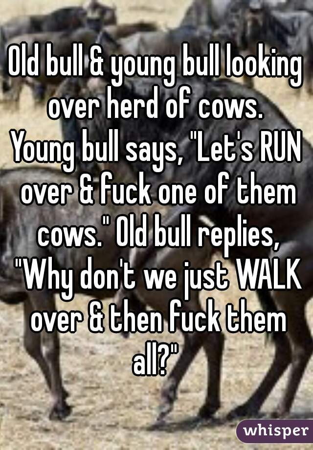 Old bull & young bull looking over herd of cows. 
Young bull says, "Let's RUN over & fuck one of them cows." Old bull replies, "Why don't we just WALK over & then fuck them all?" 