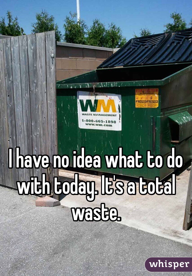 I have no idea what to do with today. It's a total waste. 