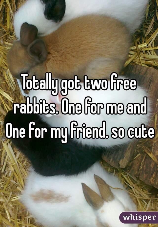 Totally got two free rabbits. One for me and One for my friend. so cute