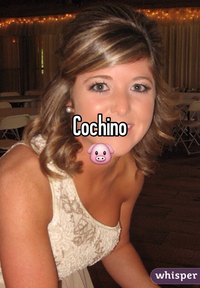 Cochino
🐷