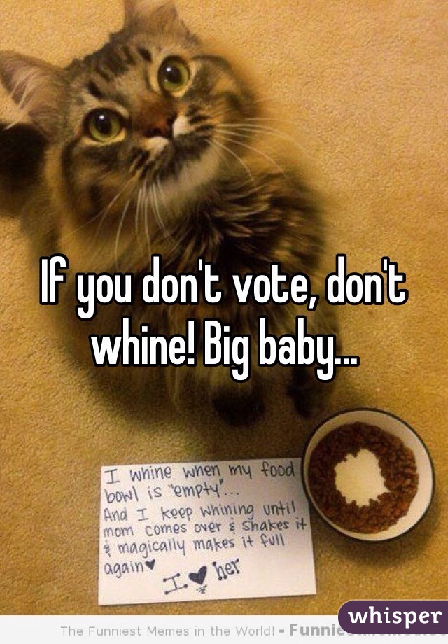 If you don't vote, don't whine! Big baby...