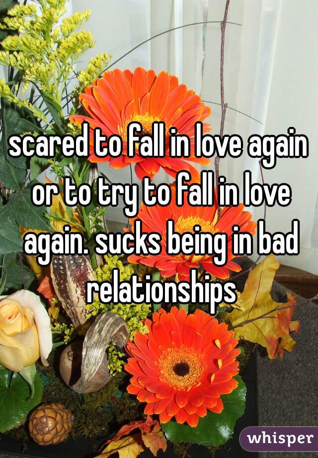 scared to fall in love again or to try to fall in love again. sucks being in bad relationships