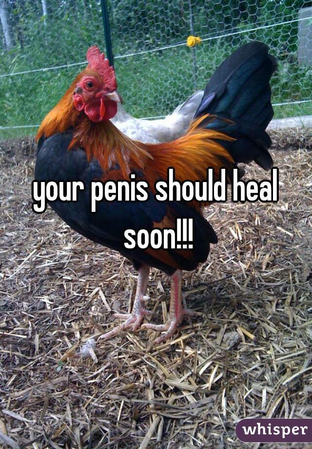 your penis should heal soon!!!