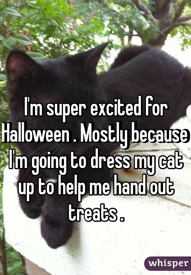 I'm super excited for Halloween . Mostly because I'm going to dress my cat up to help me hand out treats . 