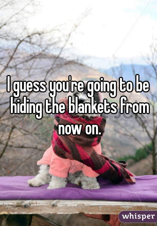 I guess you're going to be hiding the blankets from now on.