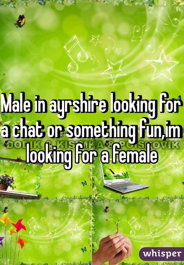 Male in ayrshire looking for a chat or something fun,im looking for a female 