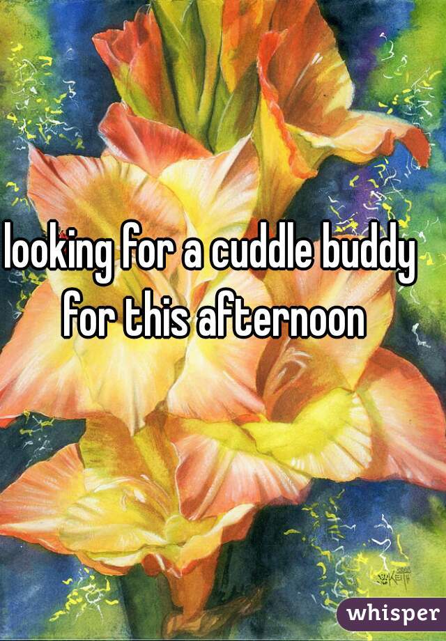 looking for a cuddle buddy for this afternoon