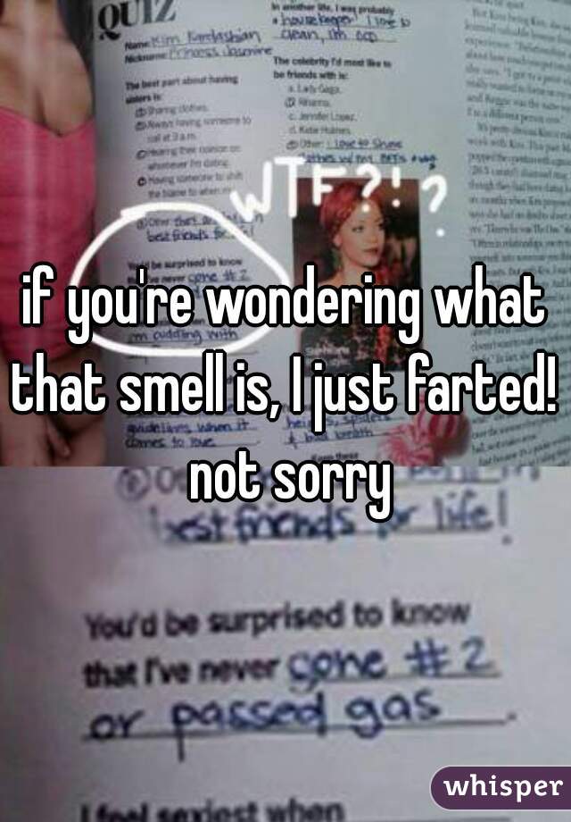 if you're wondering what that smell is, I just farted!  not sorry