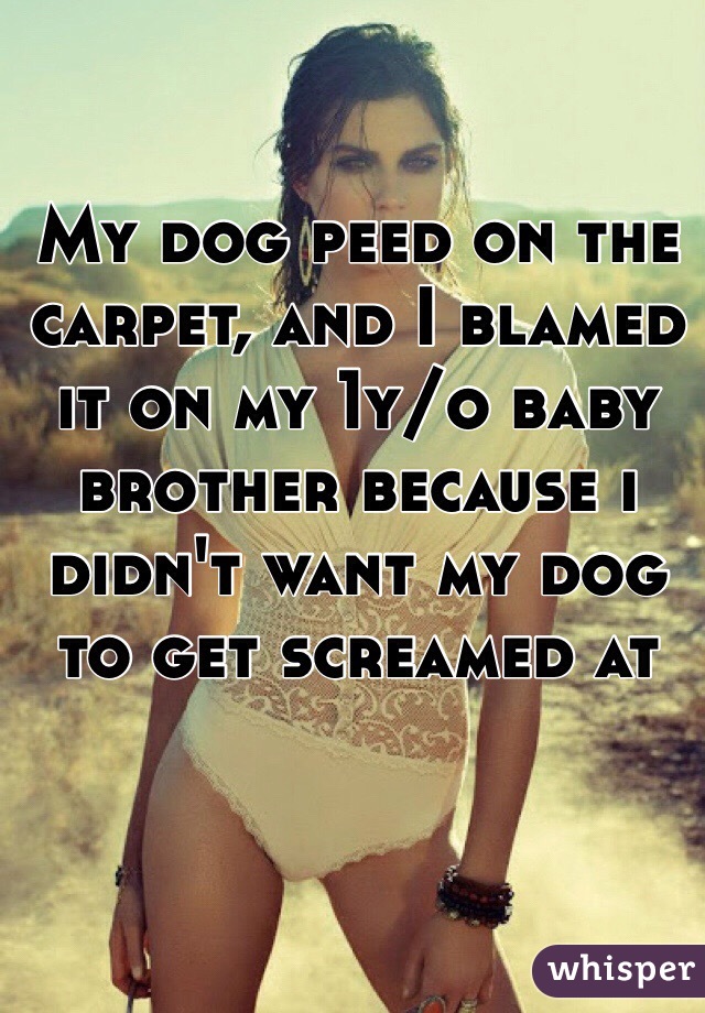 My dog peed on the carpet, and I blamed it on my 1y/o baby brother because i didn't want my dog to get screamed at