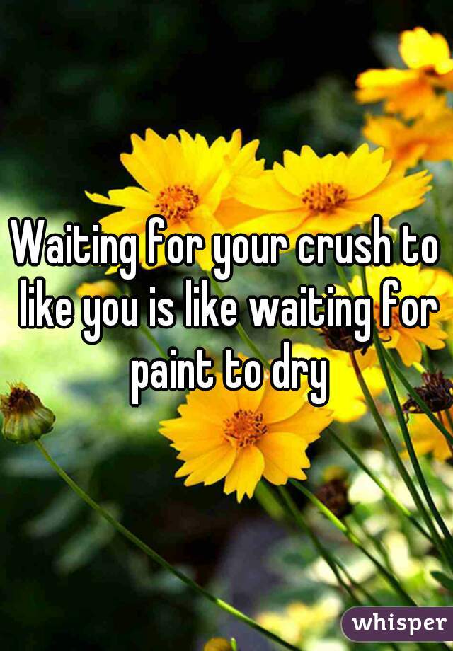 Waiting for your crush to like you is like waiting for paint to dry