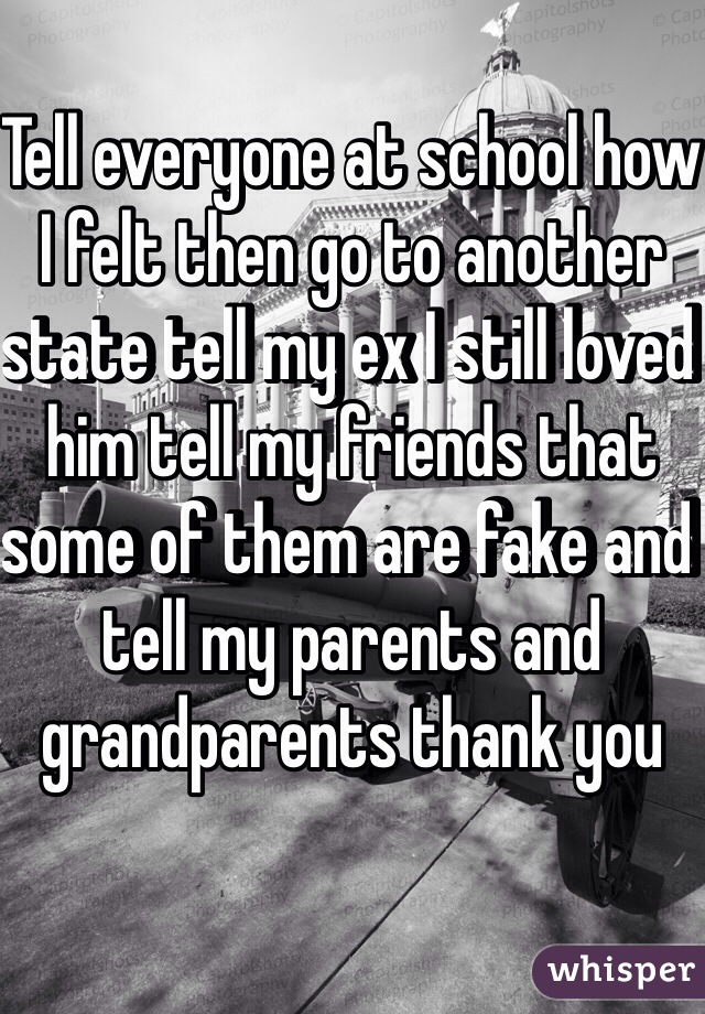 Tell everyone at school how I felt then go to another state tell my ex I still loved him tell my friends that some of them are fake and tell my parents and grandparents thank you 