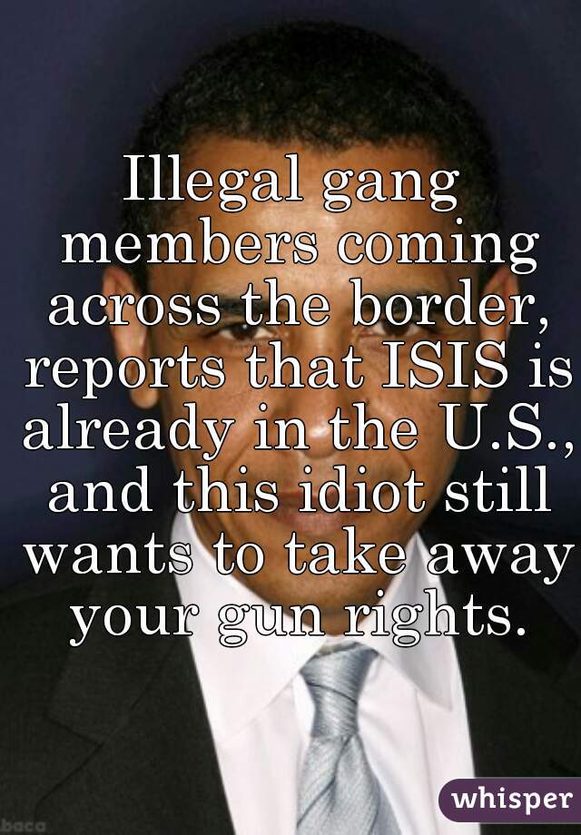 Illegal gang members coming across the border, reports that ISIS is already in the U.S., and this idiot still wants to take away your gun rights.