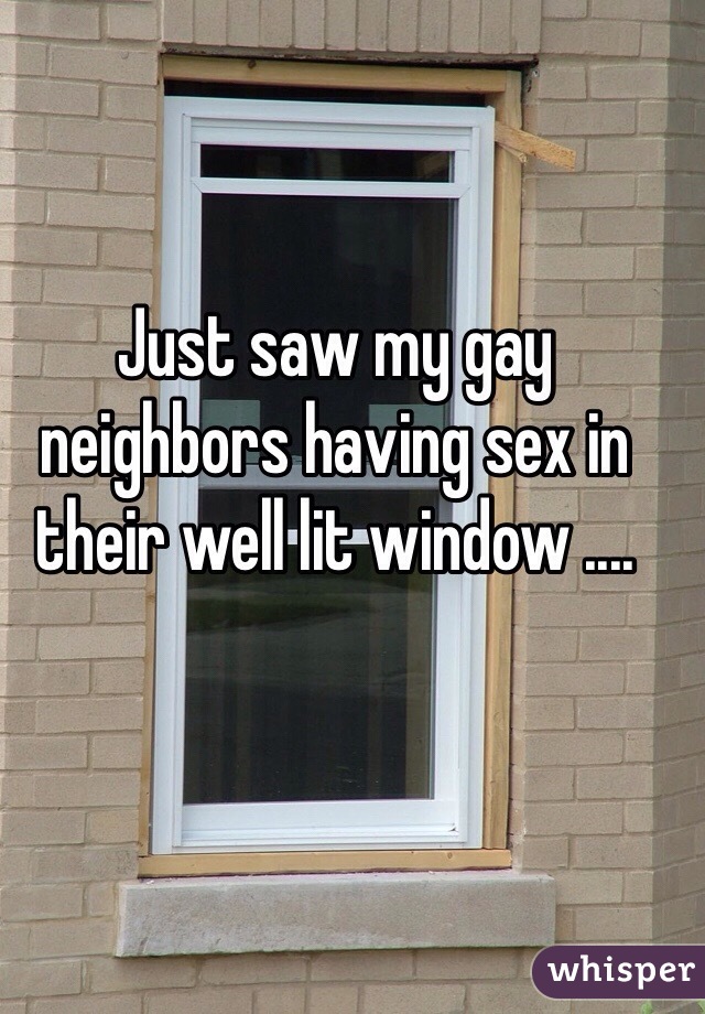 Just saw my gay neighbors having sex in their well lit window ....  