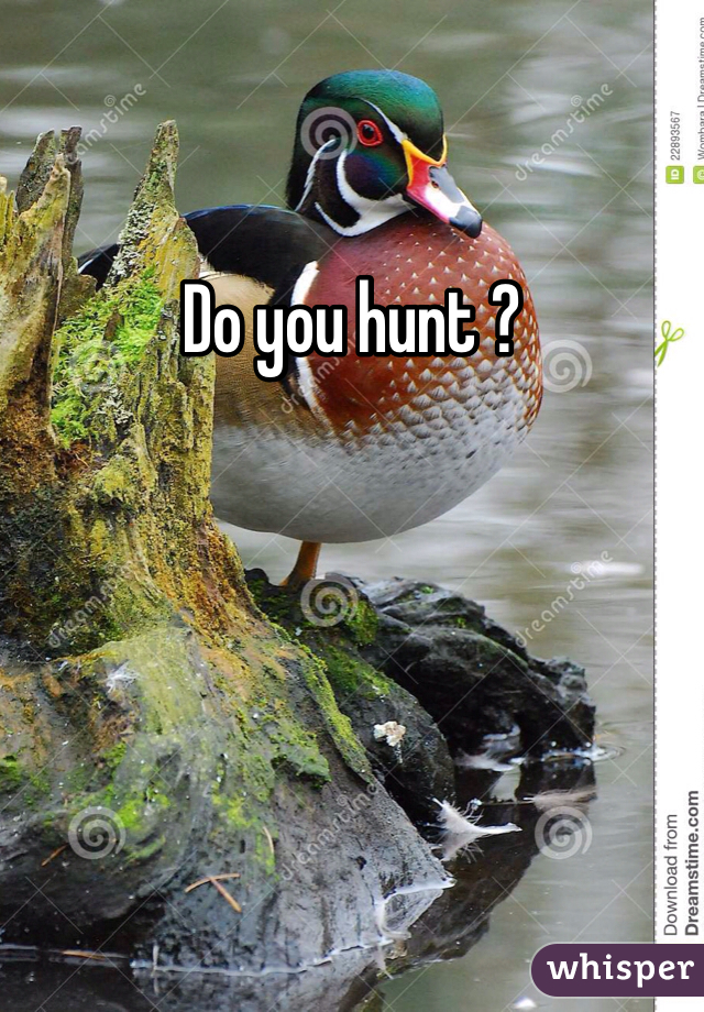 Do you hunt ?