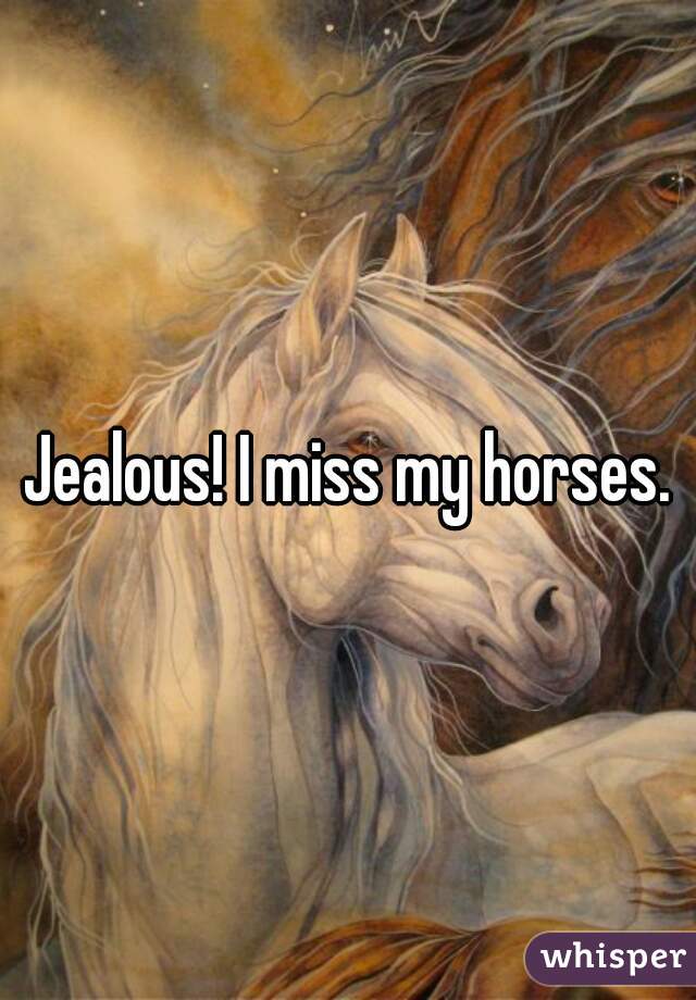 Jealous! I miss my horses.