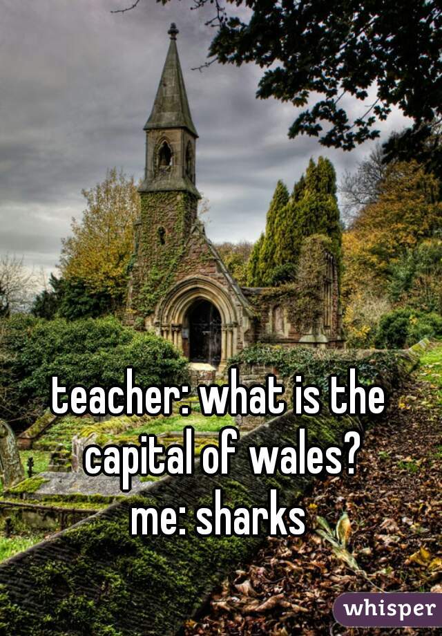 teacher: what is the capital of wales?

me: sharks
