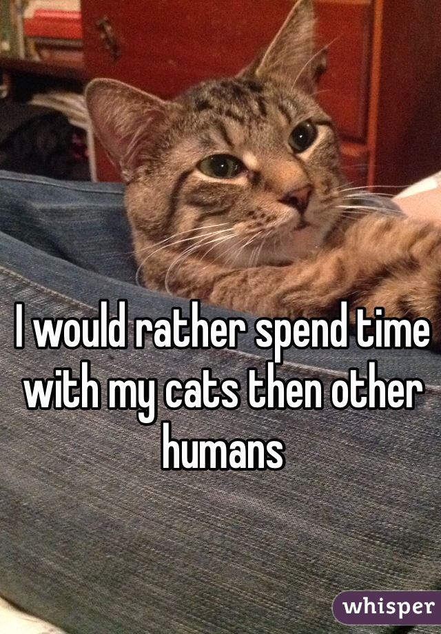 I would rather spend time with my cats then other humans