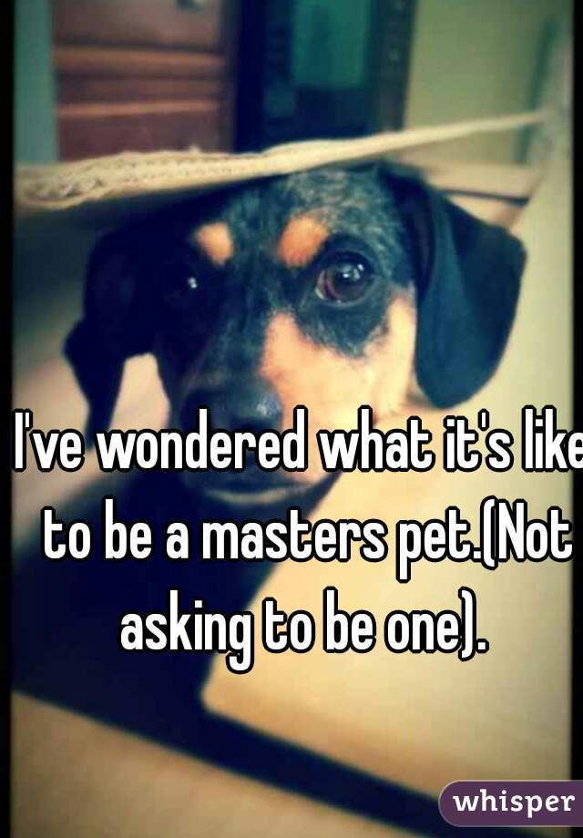 I've wondered what it's like to be a masters pet.(Not asking to be one). 