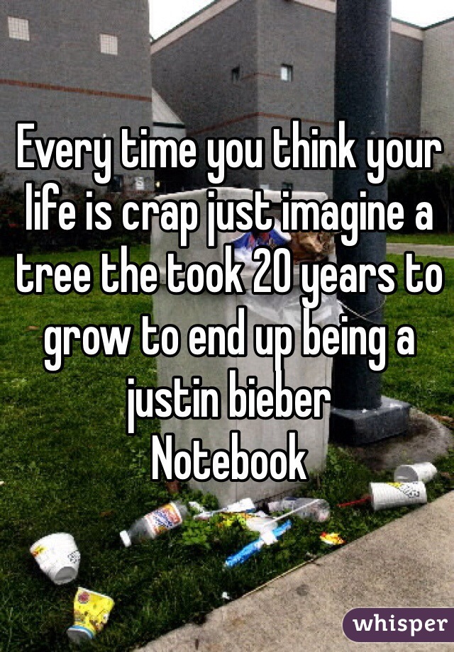 Every time you think your life is crap just imagine a tree the took 20 years to grow to end up being a justin bieber 
Notebook