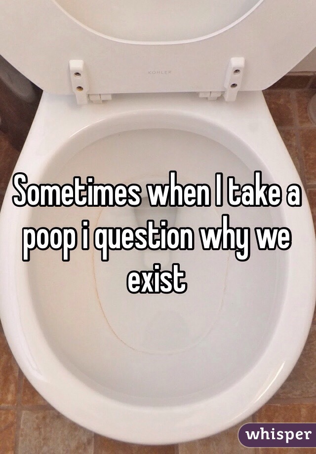 Sometimes when I take a poop i question why we exist 