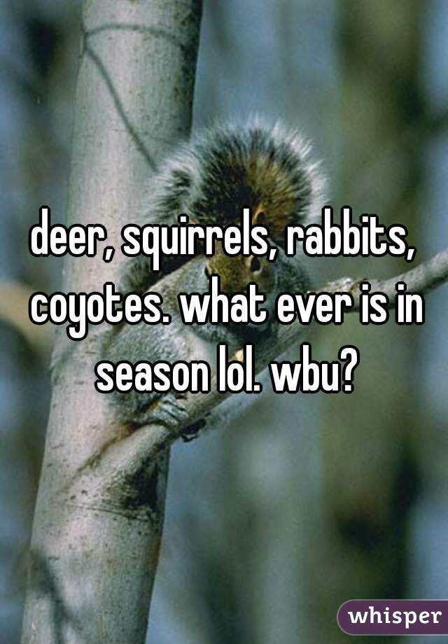 deer, squirrels, rabbits, coyotes. what ever is in season lol. wbu?