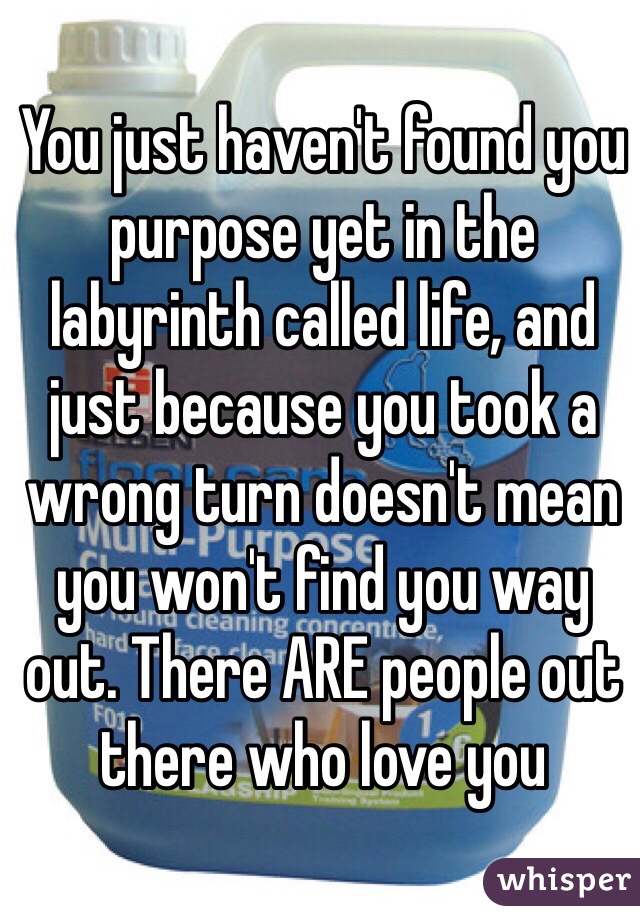 You just haven't found you purpose yet in the labyrinth called life, and just because you took a wrong turn doesn't mean you won't find you way out. There ARE people out there who love you