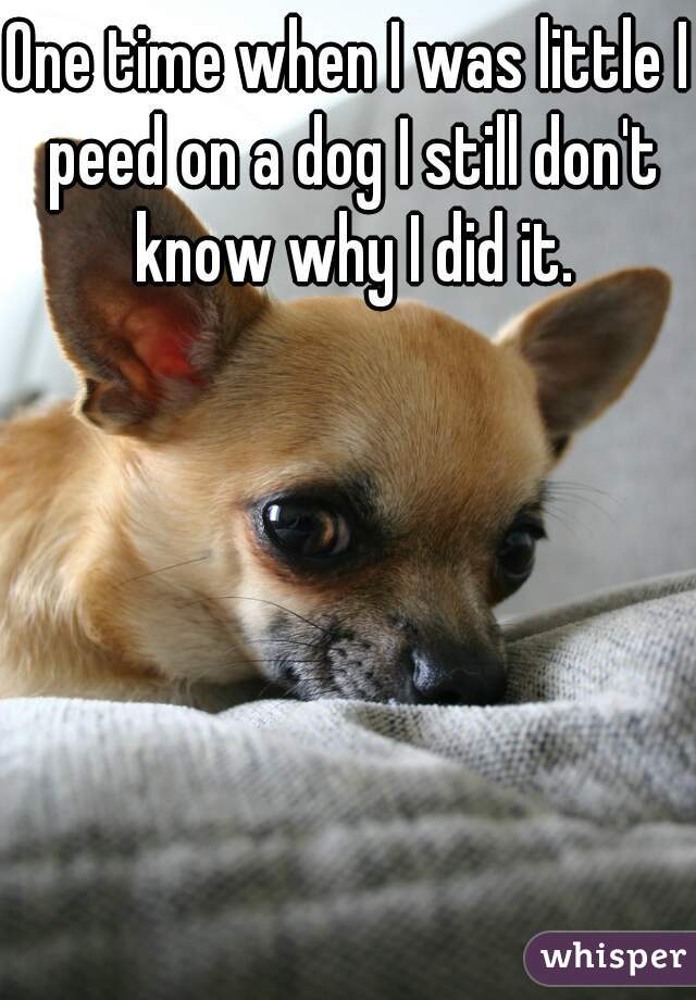 One time when I was little I peed on a dog I still don't know why I did it.