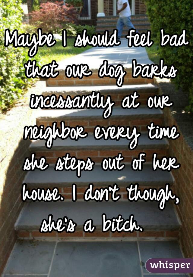 Maybe I should feel bad that our dog barks incessantly at our neighbor every time she steps out of her house. I don't though, she's a bitch.  