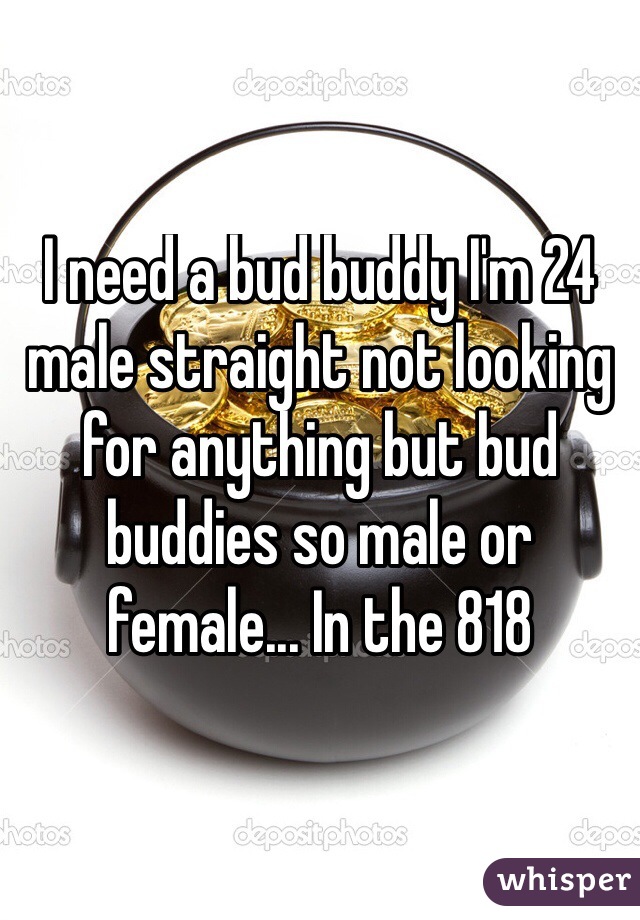 I need a bud buddy I'm 24 male straight not looking for anything but bud buddies so male or female... In the 818 
