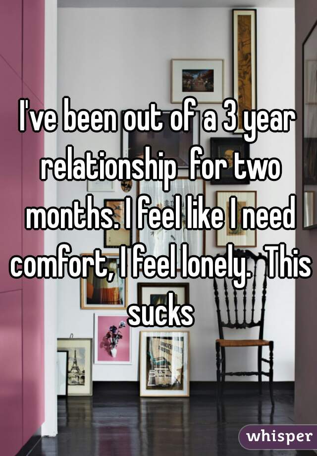 I've been out of a 3 year relationship  for two months. I feel like I need comfort, I feel lonely.  This sucks