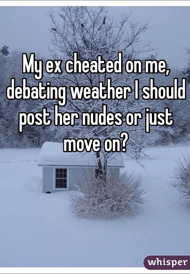 My ex cheated on me, debating weather I should post her nudes or just move on?