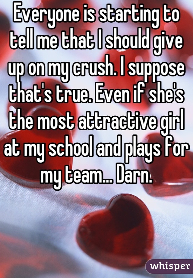 Everyone is starting to tell me that I should give up on my crush. I suppose that's true. Even if she's the most attractive girl at my school and plays for my team... Darn.