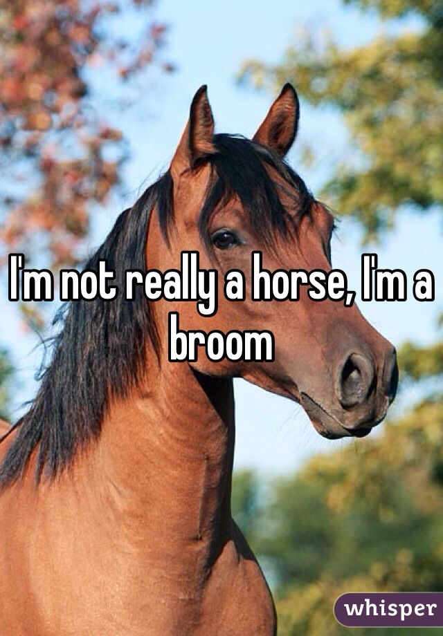 I'm not really a horse, I'm a broom