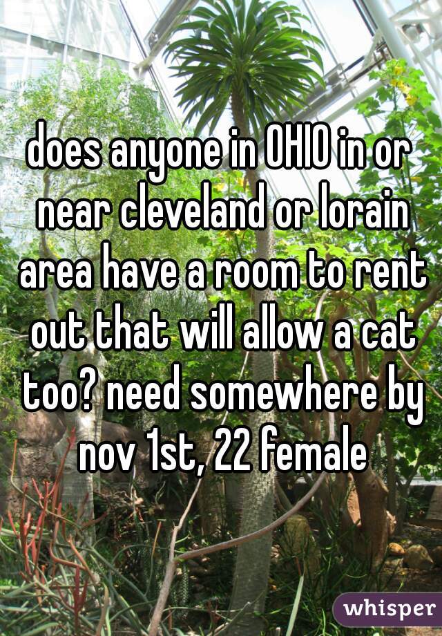 does anyone in OHIO in or near cleveland or lorain area have a room to rent out that will allow a cat too? need somewhere by nov 1st, 22 female