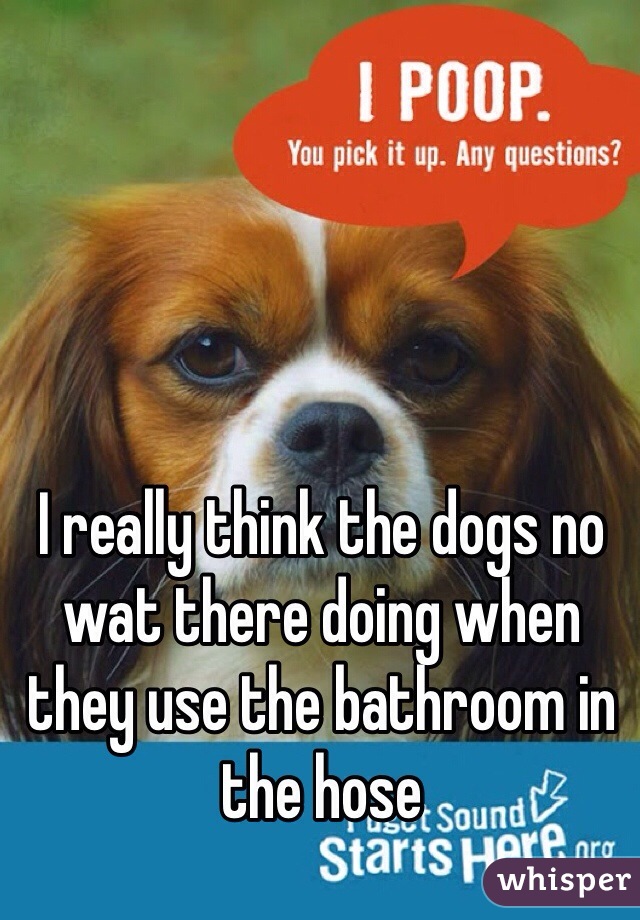 I really think the dogs no wat there doing when they use the bathroom in the hose