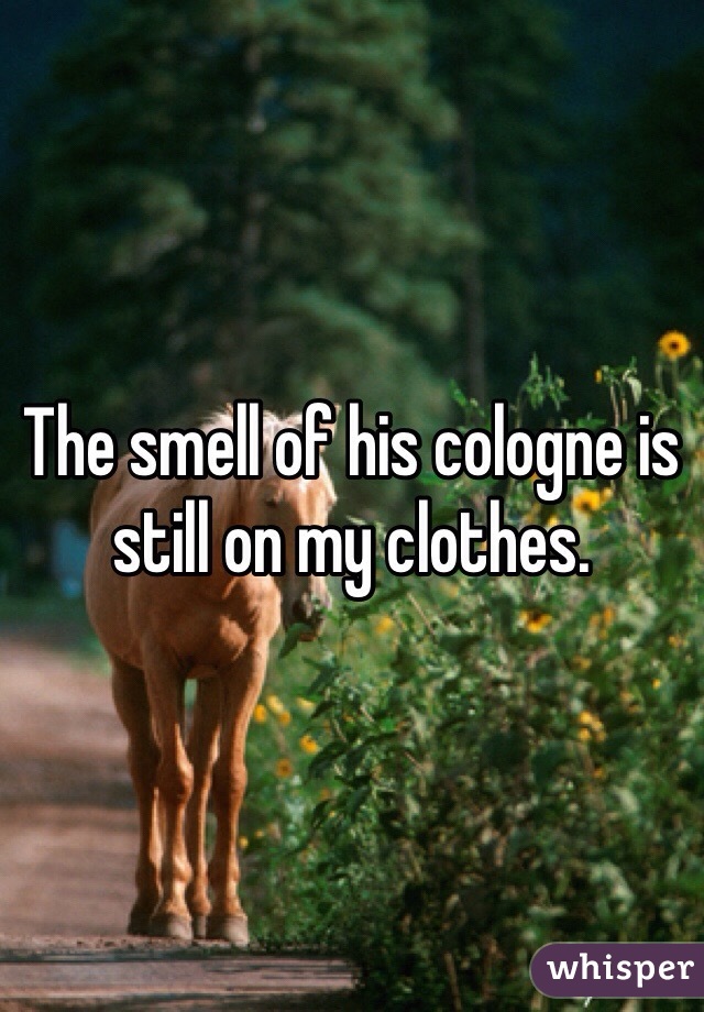 The smell of his cologne is still on my clothes. 