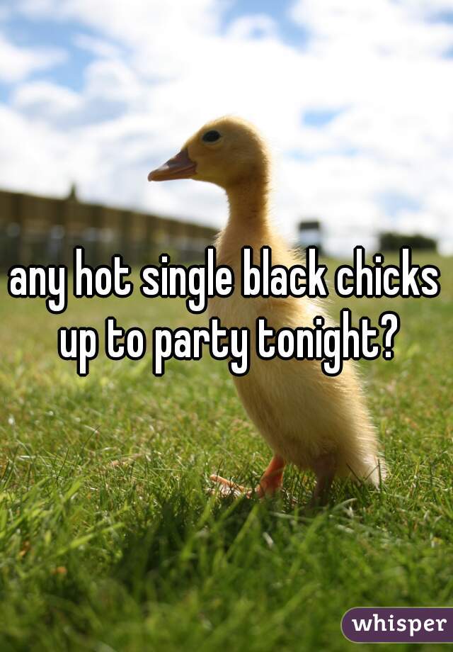 any hot single black chicks up to party tonight?