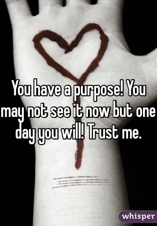 You have a purpose! You may not see it now but one day you will! Trust me. 