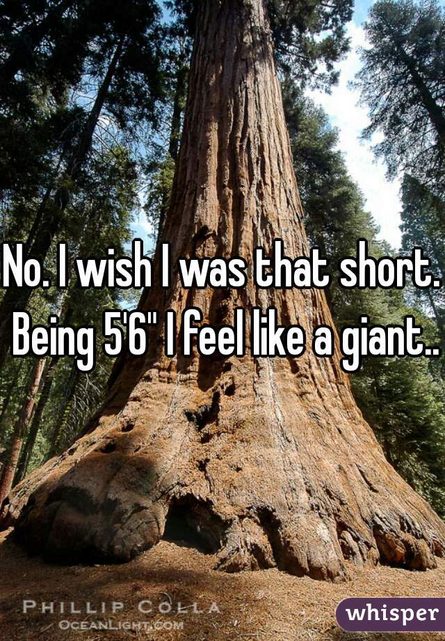 No. I wish I was that short. Being 5'6" I feel like a giant...