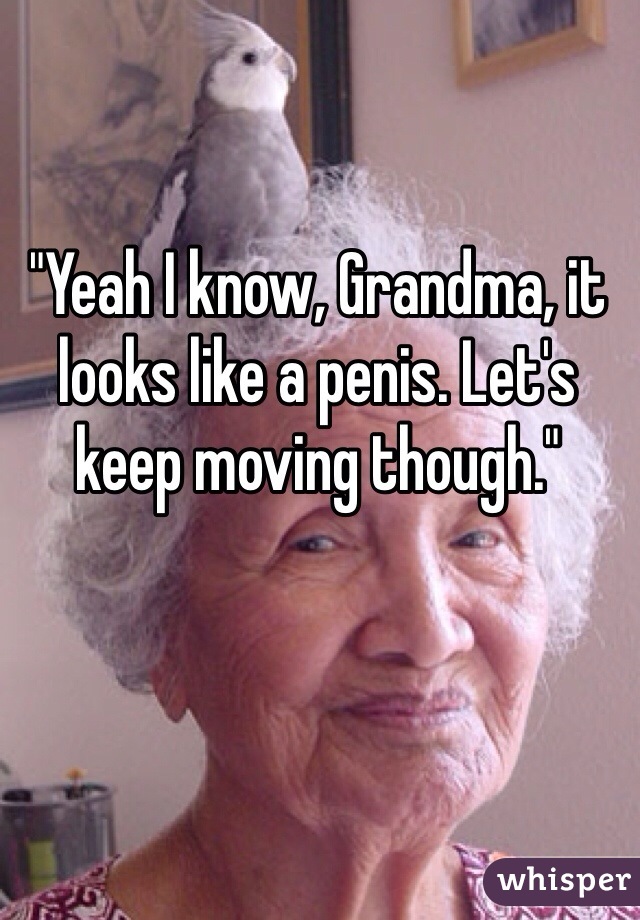 "Yeah I know, Grandma, it looks like a penis. Let's keep moving though."