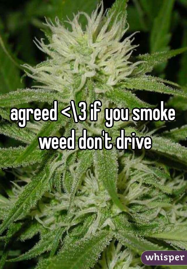 agreed <\3 if you smoke weed don't drive