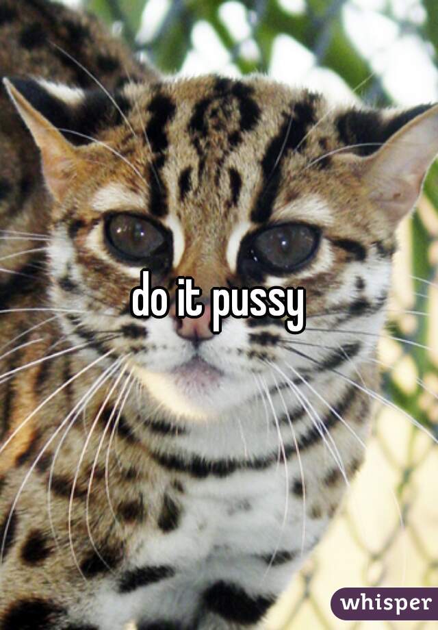 do it pussy